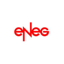 eNeG Gesellschaft für wirtschaftlichen Energieeinsatz mbH